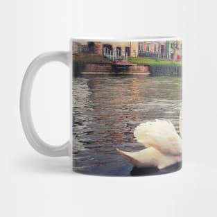 magnificent swans Mug